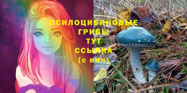 ECSTASY Приозерск