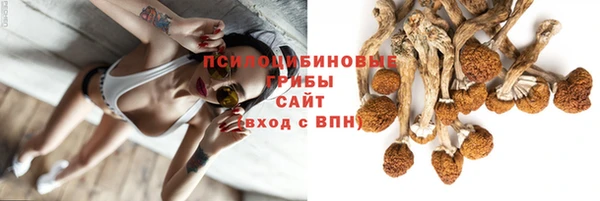 ECSTASY Приозерск