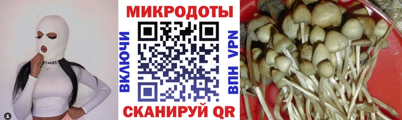 Псилоцибиновые грибы MAGIC MUSHROOMS Ялуторовск