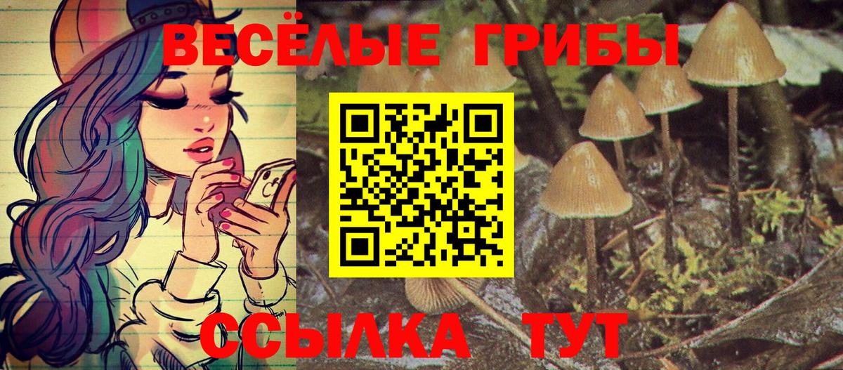 Псилоцибиновые грибы прущие грибы  Вход с VPN  Ялуторовск 