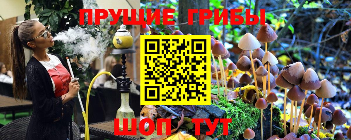 Псилоцибиновые грибы Magic Shrooms Ялуторовск