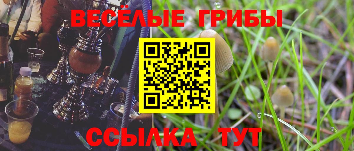 Галлюциногенные грибы мицелий  что такое наркотик  Ялуторовск  Псилоцибиновые грибы Psilocybe 