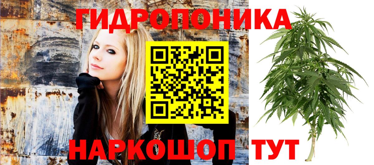 Конопля OG Kush  Конопля планчик  Шишки марихуана семена  Ялуторовск 